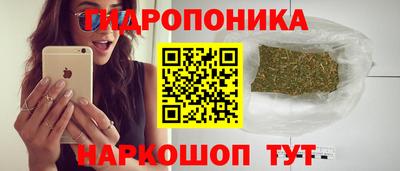 сатива Гагарин