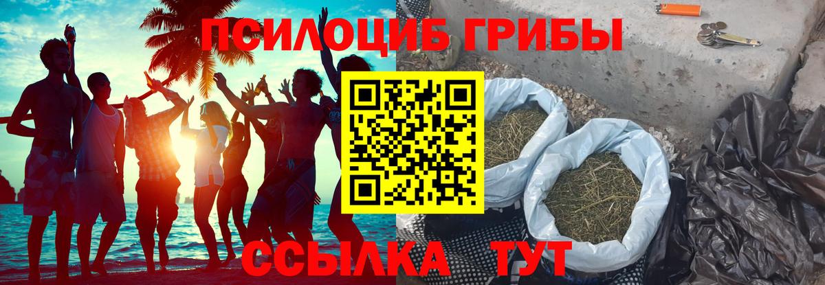 Псилоцибиновые грибы GOLDEN TEACHER  Вход с VPN  Малоярославец 